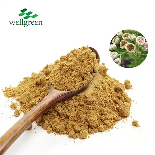 Pluchea Indica Extract